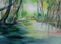 Spreewald 48x36cm